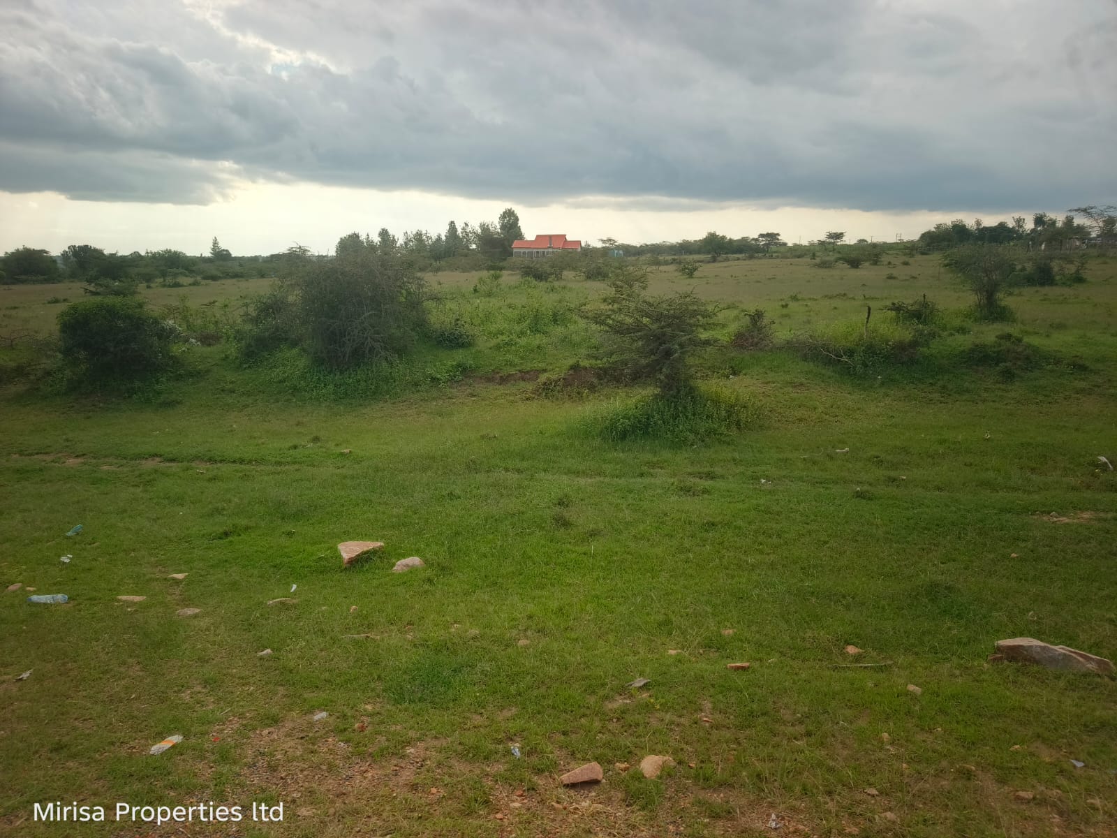 Olerai land thumbnail 4
